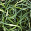 What do you make with garlic scapes?