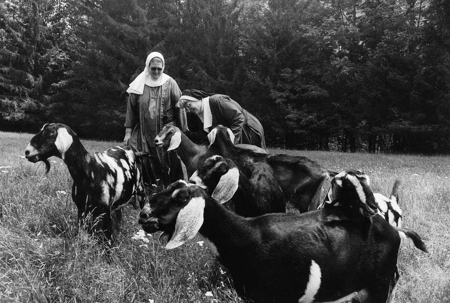 Women Artists Revel in Rural Life at Highland Center for the Arts ...