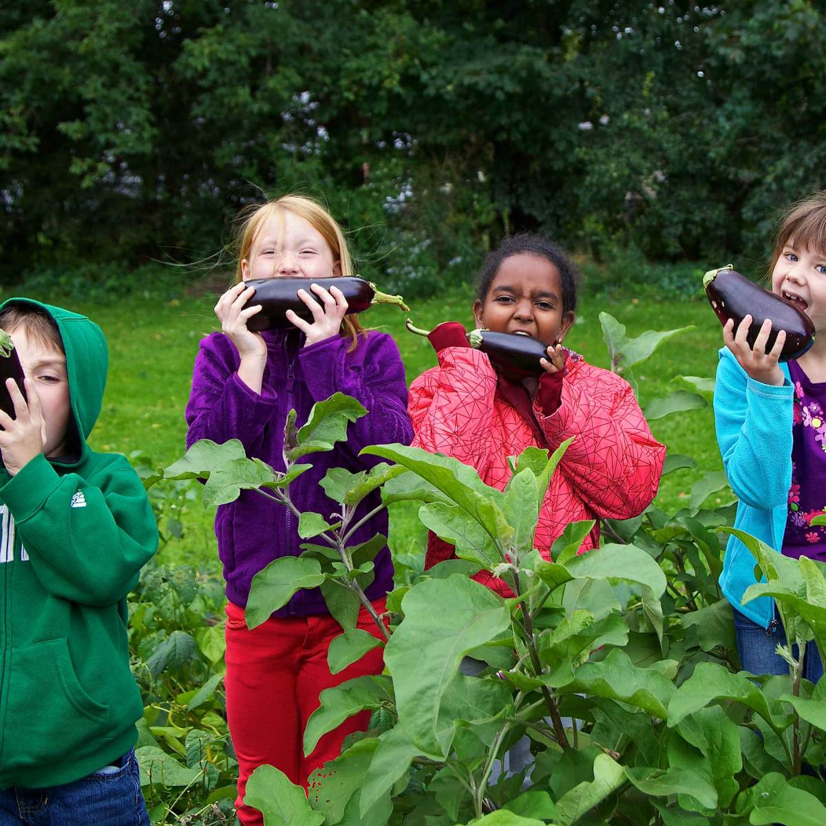 How Common Roots Is Rethinking Food Access in Vermont
