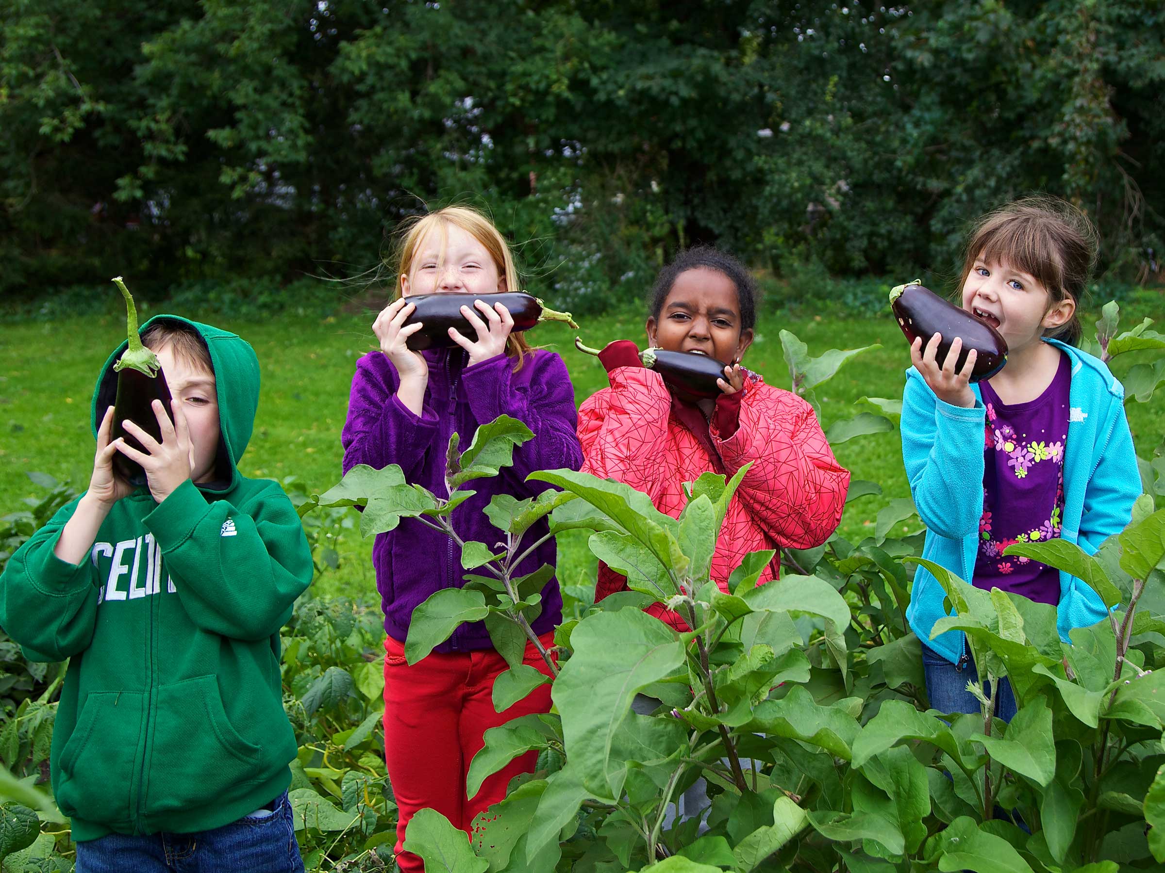 How Common Roots Is Rethinking Food Access in Vermont