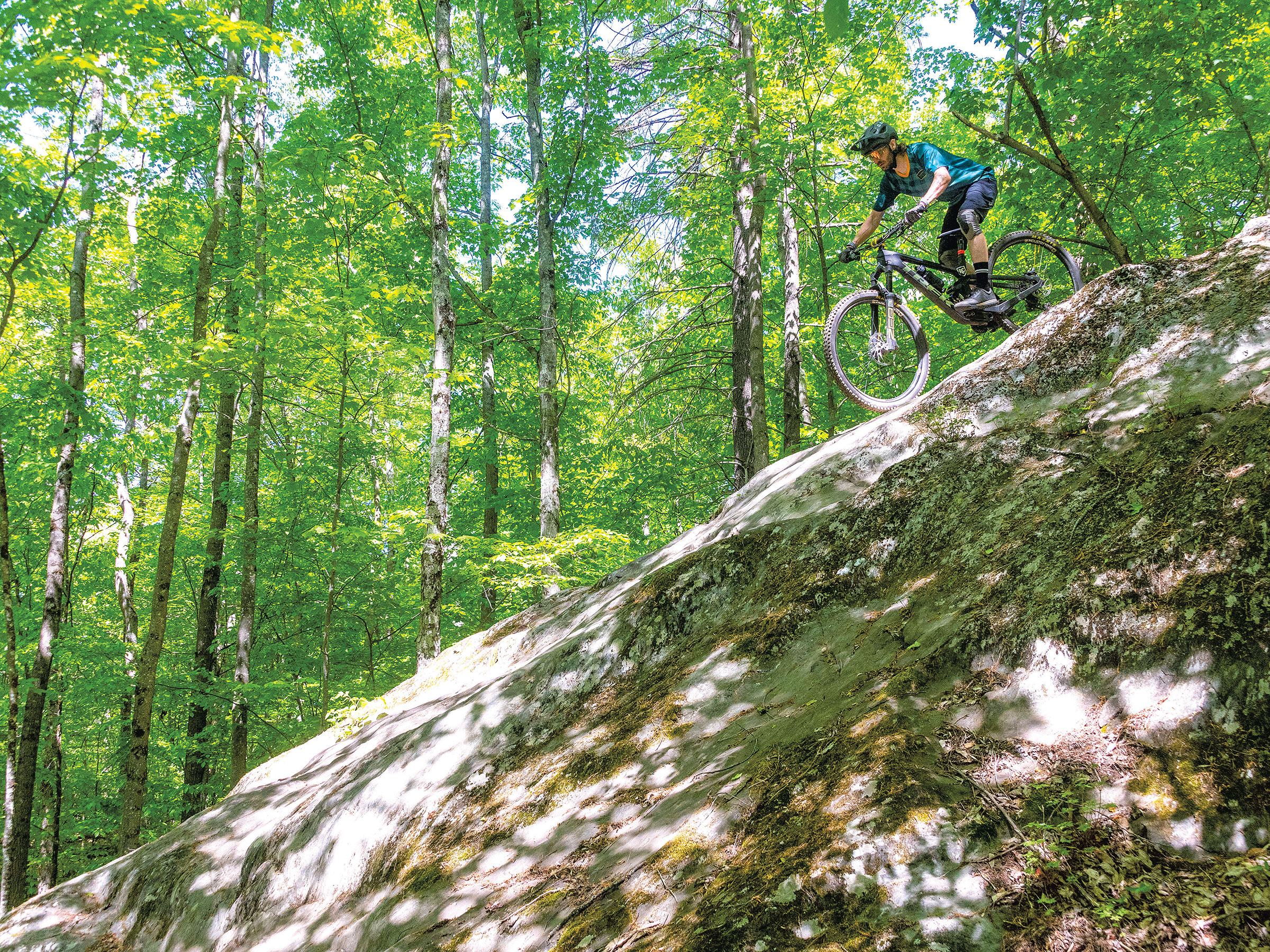 Mountain Biking Case Signals Crackdown on Rogue Trail Building